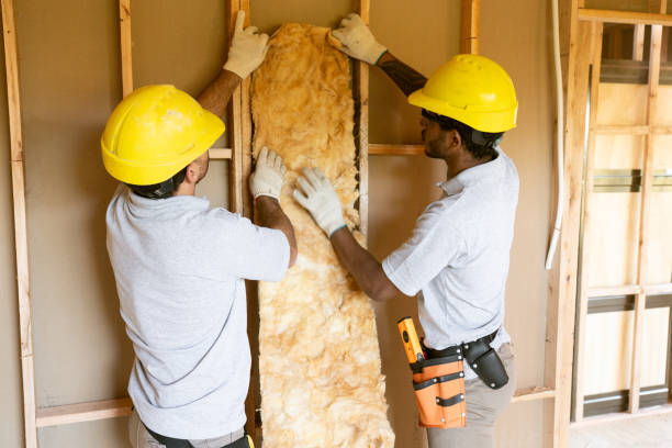 Best Insulation for New Construction  in Squirrel Mountain Valley, CA