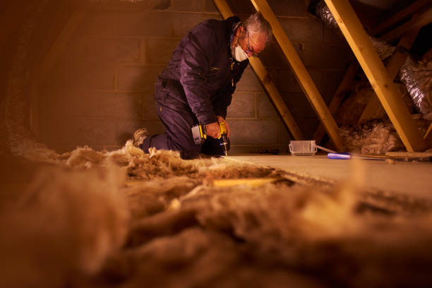 Best Insulation Removal  in Squirrel Mountain Valley, CA